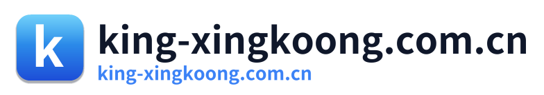 king-xingkoong.com.cn